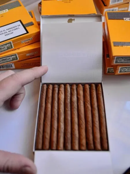 Cohiba Club 20 Sigarillo 1 Karton ( 5 Paket ) 